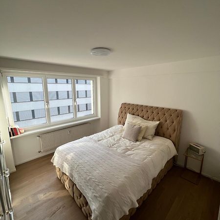Best Located & Fully Equipped Apartment At Basel Sbb Main Station Luaran gambar