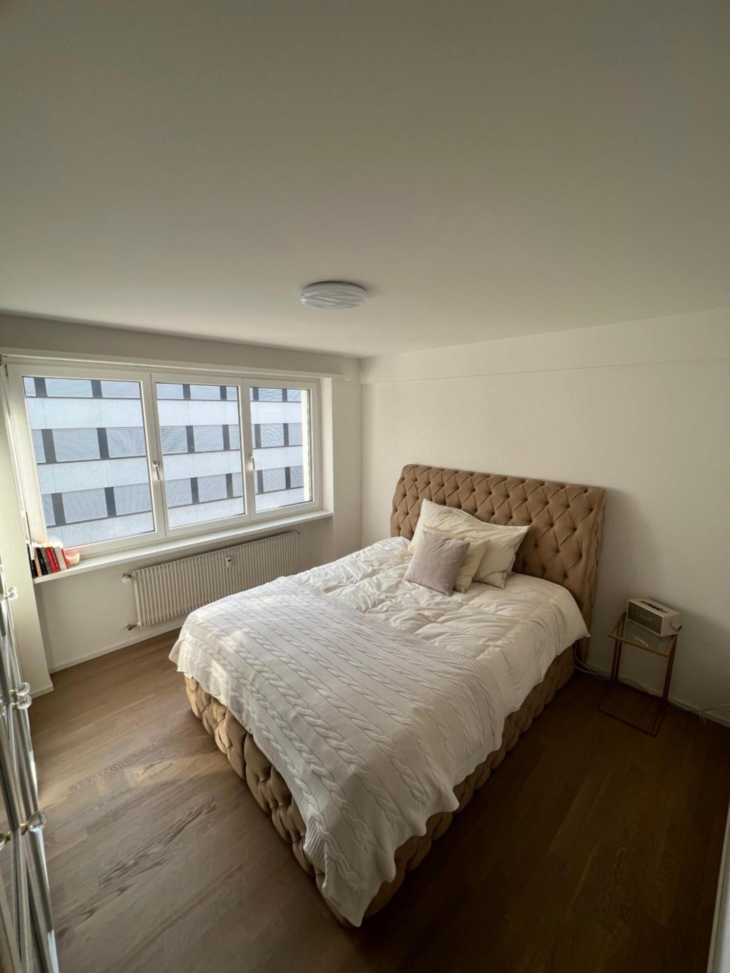 Best Located & Fully Equipped Apartment At Basel Sbb Main Station Luaran gambar